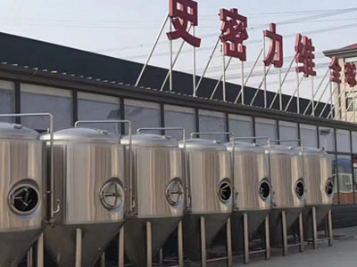 友谊精酿啤酒设备厂—如何判断精酿啤酒设备的密封件需要更换？